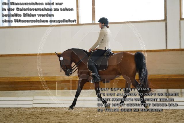 s_K3F01123.JPG